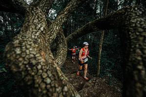 BIB: 
                            <button type="button" onclick="openModal(25700014)" class="btn btn-primary btn-sm float-right btn-popup" data-toggle="modal" data-target=".modal-high-quality">
                        <i class="fas fa-shopping-cart"></i> Add to Cart
                    </button>
                                            <button type="button" onclick="isThisMe(25700014, true)" class="btn btn-success btn-sm float-right btn-popup btn-isme hidden" data-toggle="tooltip" data-placement="bottom" title="นี่คือรูปของคุณใช่ไหม คลิกที่นี่เพื่อเอาเข้าอัลบั้ม">
                        <i class="fas fa-plus"></i> Add to album
                    </button>
                    <button type="button" onclick="isThisMe(25700014, false)" class="btn btn-warning btn-sm float-right btn-popup btn-isnotme hidden">
                        <i class="fas fa-ban"></i> Remove from album
                    </button>